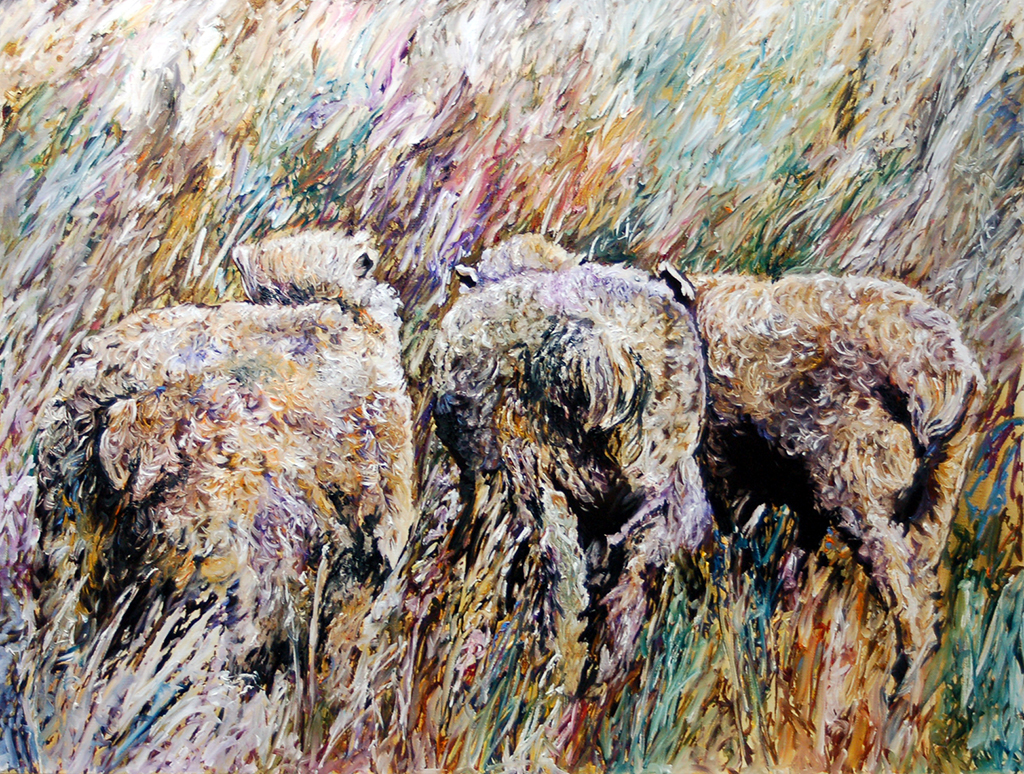 2012, Drei Schafe, Öl auf Leinwand, 80 x 60 cm 2012, Drei Schafe